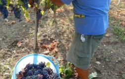 Cooperazione al top