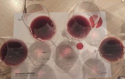 Cortaccia Rossa 2021