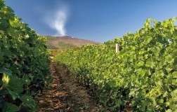 Cosa bolle nel vulcano?