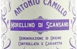 Cotozzino-2015.jpg