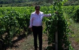 Da Barolo all'Etna: Davide Rosso acquista 14 ettari sul vulcano