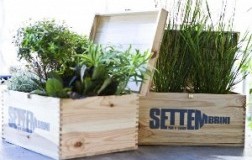 Da Settembrini a Roma arriva il menù Panda Food