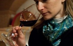 Dal terroir della Valpolicella