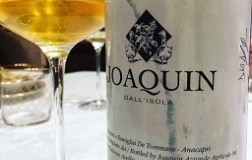Dall-Isola-2015.jpg
