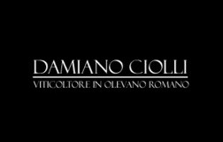 Damiano-Ciolli.jpg