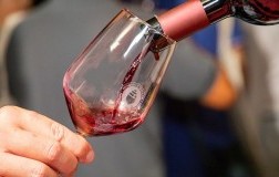 Degustazione primtivo di manduria