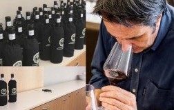 Degustazioni Brunello Riccardo Viscardi