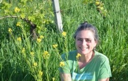 Deliziosa bevibilità per il Dolcetto d'Alba di Punset