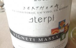 Derthona-Timorasso-Sterpi-2012.jpg