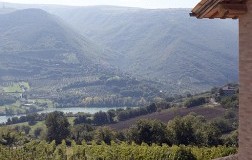 Didattico nell'espressione varietale