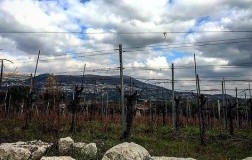 Dionisio e Lia Meoli, I Pentri e Pietra della Volpe