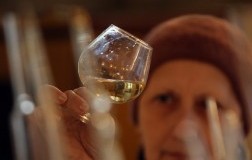 Discriminazioni per le donne del vino