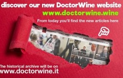 DoctorWine's new site