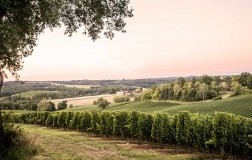 Côtes de Gascogne Fossiles n°6 2019 Domaine Haut Marin