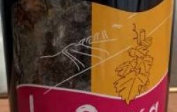 Entraygues Le Fel la pauca vino rosso francia