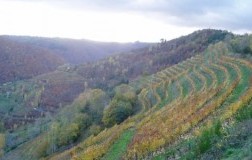domaine mousset cantina vini francia panorama vigneti la pauca 2014