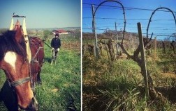Domaine de la Pine jura francia