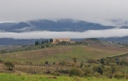 Due vermentino dalla Maremma