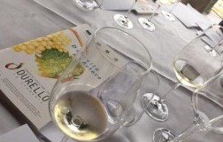lessini durello metodo classico 
