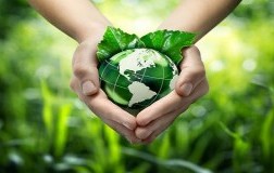 Economia circolare nel food