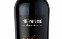 Epifanis-2009.jpg