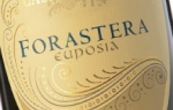 Euposia-2014.jpg