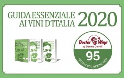 faccino 95/100 DoctorWine Guida 2019 diploma