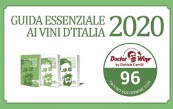 Faccino 96/100 DoctorWine 2020 diploma
