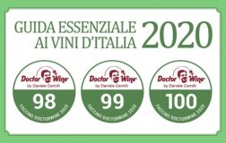 Faccino 98-99-100 guida 2020 diploma