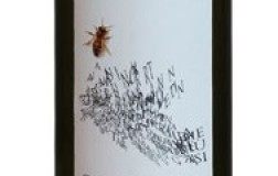 Falanghina-Campi-Flegrei-2014.jpg