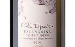 Falanghina-Colle-Imperatrice-2015.jpg