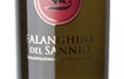 Falanghina del Sannio Rossovermiglio vino bianco campania