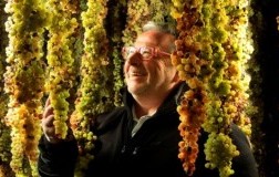 fausto maculan cantina vini veneto acini nobili vino passito
