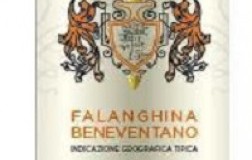 Feudi Matilda Falanghina del Beneventano 2019