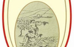 Fiano-di-Avellino-2010.jpg