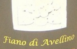 Fiano-di-Avellino-2011.jpg