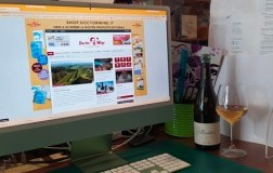 La grandezza dei vini semplici