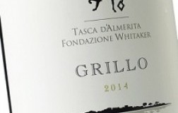 Fondazione-Whitaker-Mozia-Grillo-2014.jpg