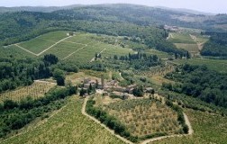 Isole e Olena in Chianti Classico