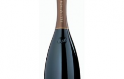 Franciacorta-Brut-Gran-Cuvee-1993.jpg