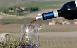 Franco Pacenti Canalicchio Montalcino