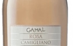Camigliano Toscana Rosato Gamal 2021