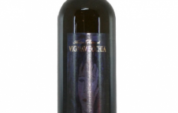 Gavi-2012.jpg