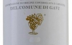 Nicola Bergaglio Gavi del Comune di Gavi 2019