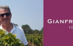Gianfranco-Fino.jpg