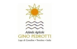 Gino Pedrotti logo
