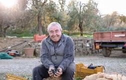 Gioberto Zannoni, La Fortuna, Montalcino