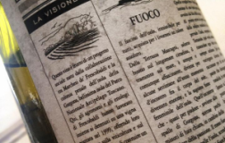Gorgona-2012.jpg