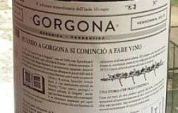 Gorgona-2015.jpg