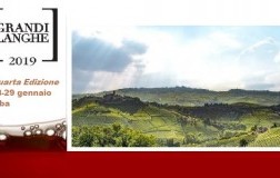 Grandi Langhe 2019